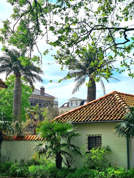 A white house with a red roof and a white roof with a green tree in the middle.