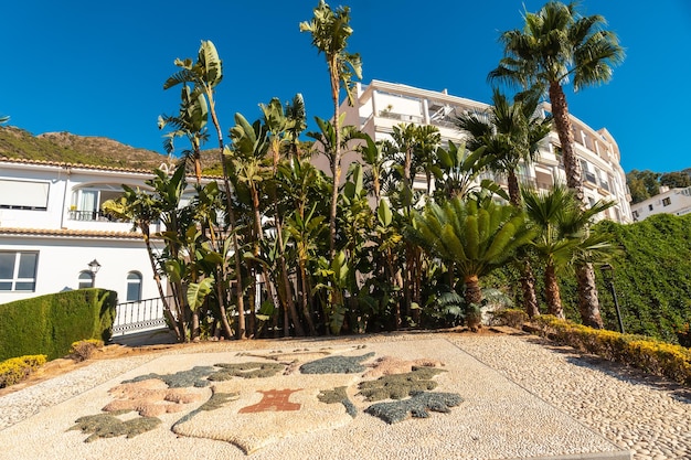 White houses and palm trees in the municipality of Mijas in Malaga Andalusia