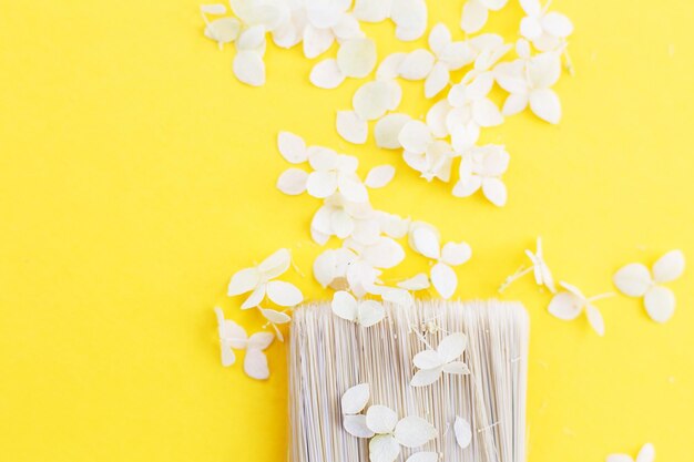 White hydrangea flowers and paint brush on a yellow background with copy space