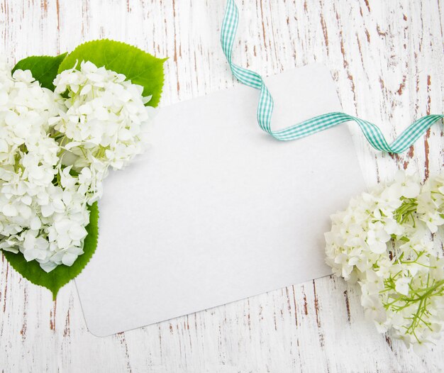 Photo white hydrangea with card