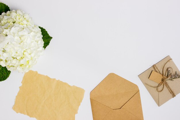 White hydrangea with craft envelop and letter over the white background