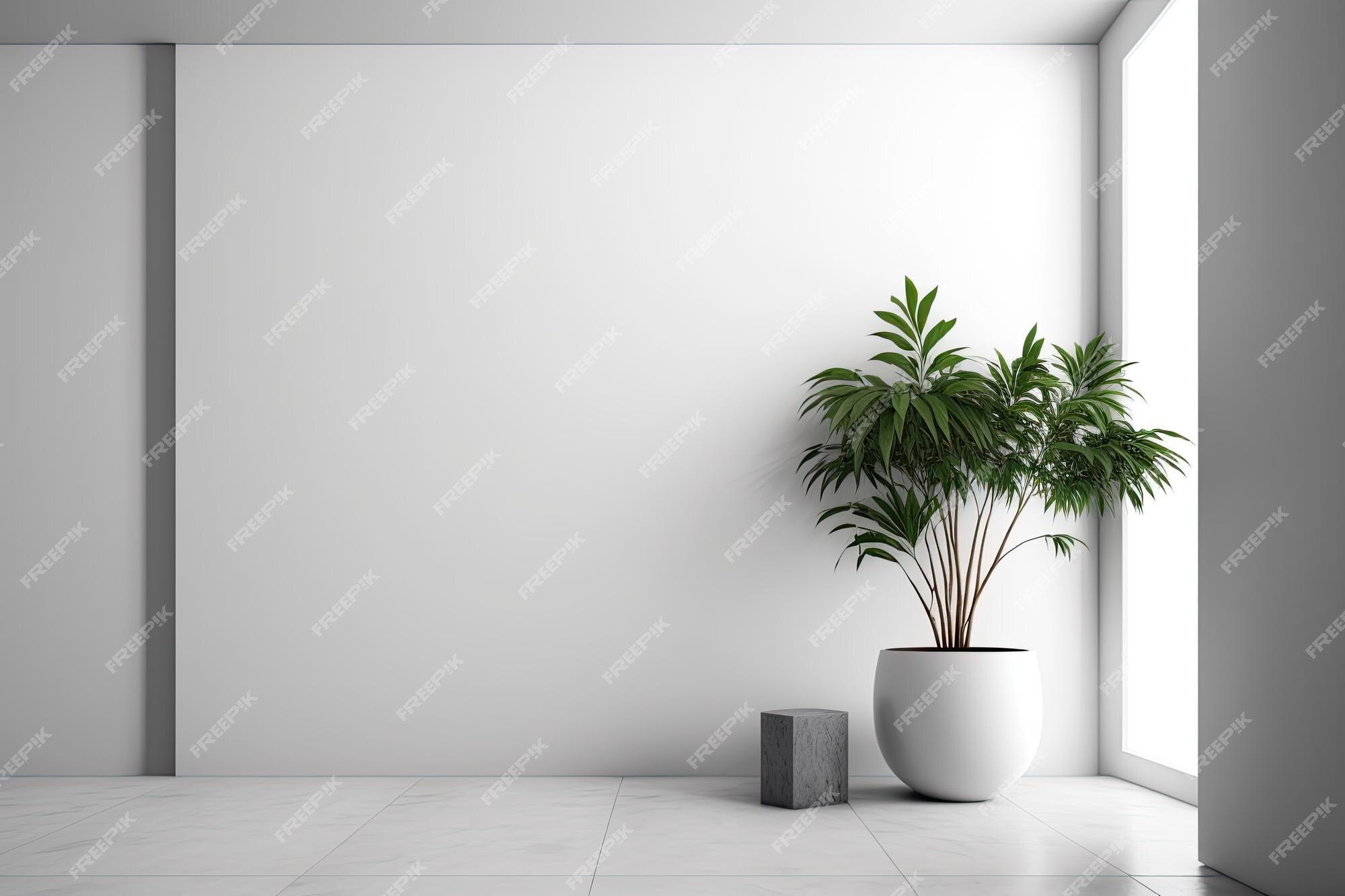 Premium Photo | White indoor space with a planter and an empty ...