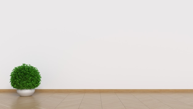 White interior design with plants on a floor