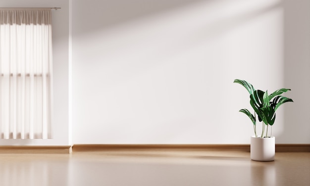 Белый интерьер пустой фон комнаты с горшком растения монстера