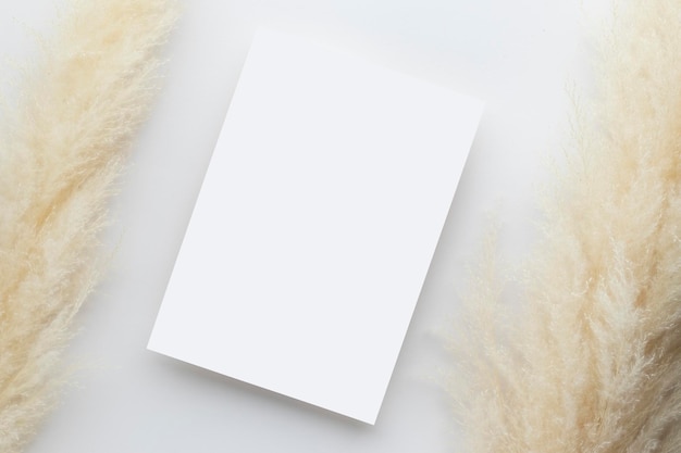 White invitation card mockup with a pampas grass on grey background, Minimal grey workplace composition, flat lay, mockup