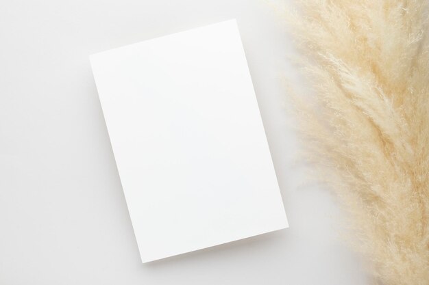 White invitation card mockup with a pampas grass on grey background, Minimal grey workplace composition, flat lay, mockup