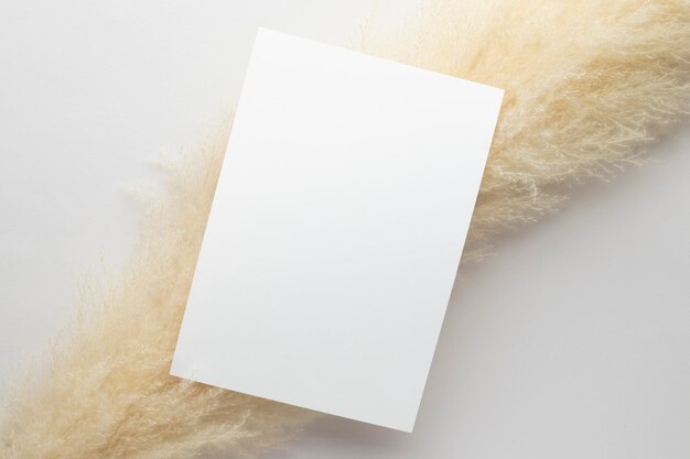 White invitation card mockup with a pampas grass on grey background, Minimal grey workplace composition, flat lay, mockup