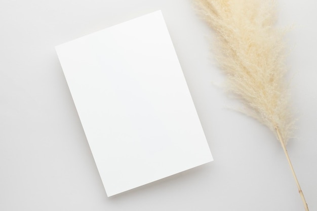 White invitation card mockup with a pampas grass on grey background, Minimal grey workplace composition, flat lay, mockup