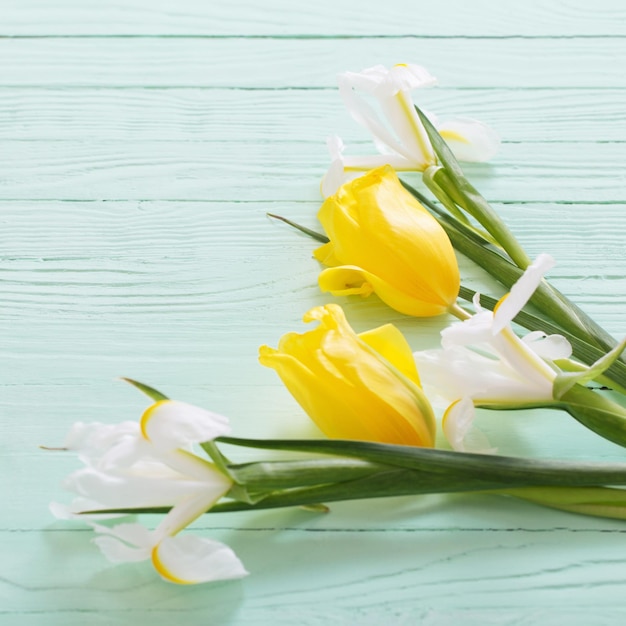 White irises and yellow tulips on green wooden background