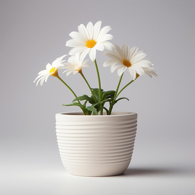 Photo white isolated flower pot