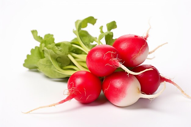 White Isolation Radish