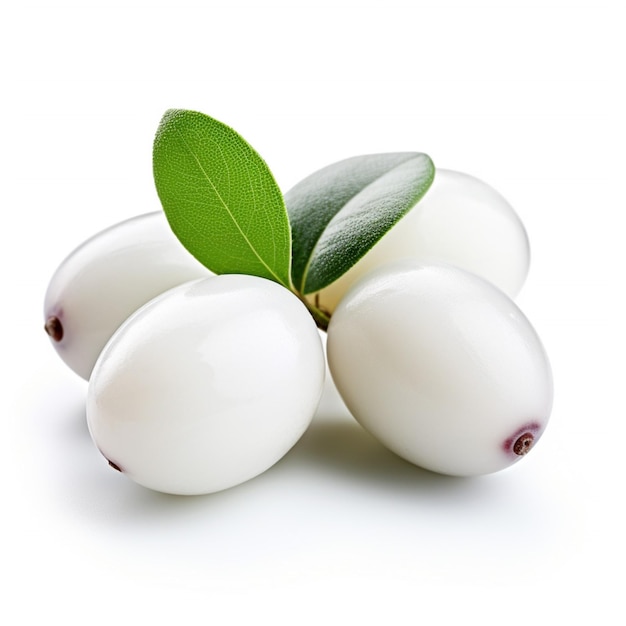 White Jamun with white background high quality ultr