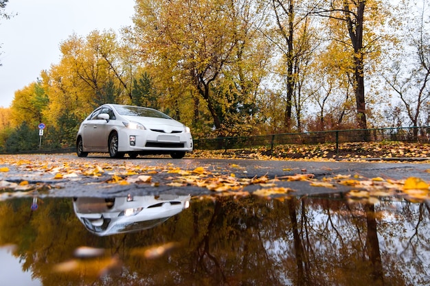 White japanese car on autumn road in rainy day