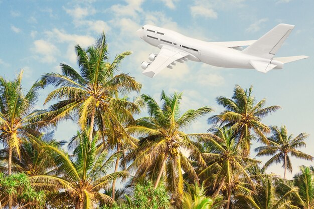 White Jet Passenger's Airplane Flying over Tropical Palm Trees on Blue Sky Background. 3d Rendering.