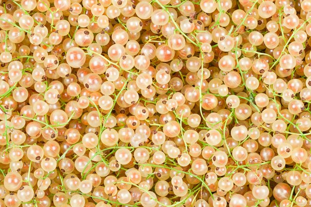 White juicy currants composition