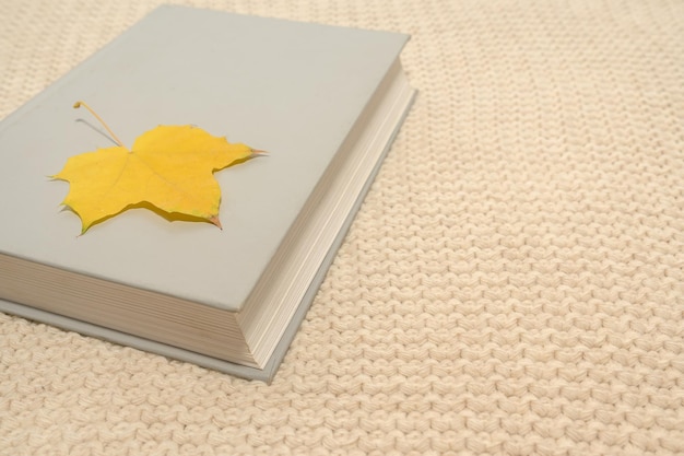 白いジャンパーに白い本本の上のカエデの葉