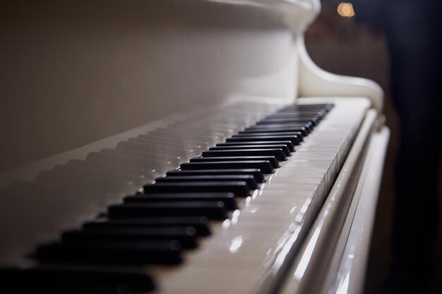 피아노의 흰색 건반