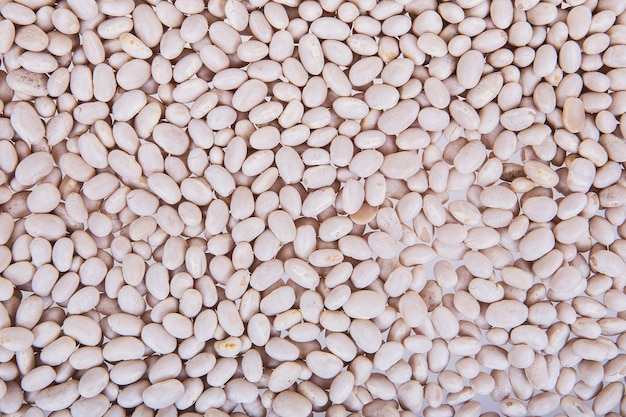 White Kidney Beans