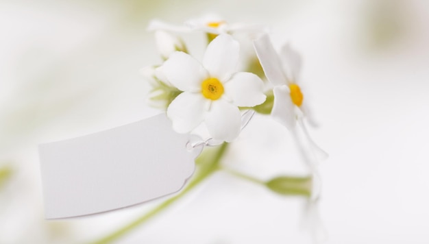 White Label with and delicate white flowers