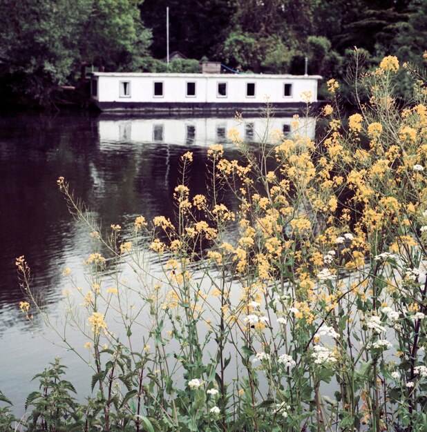 Photo white lake house