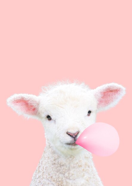 Photo white lamb easter