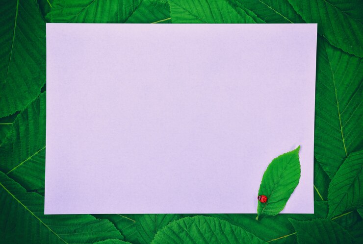 फोटो white large empty paper sheet 