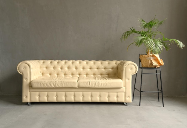 White leather sofa in a dark studio Modern comfortable cozy Green palm