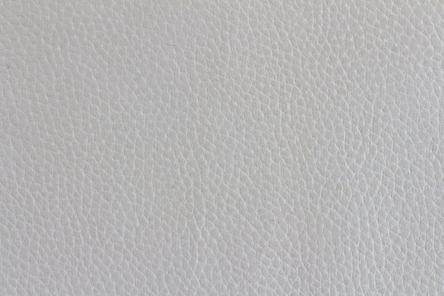 White leather sofa texture