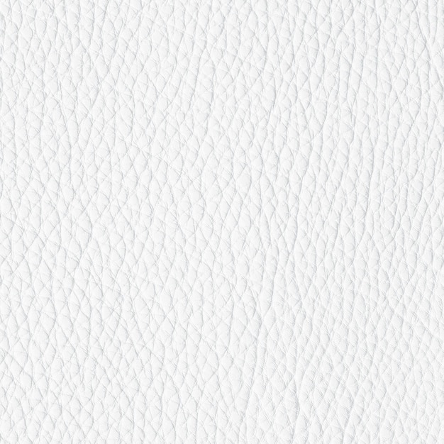 white leather texture background animal skin with natural pattern