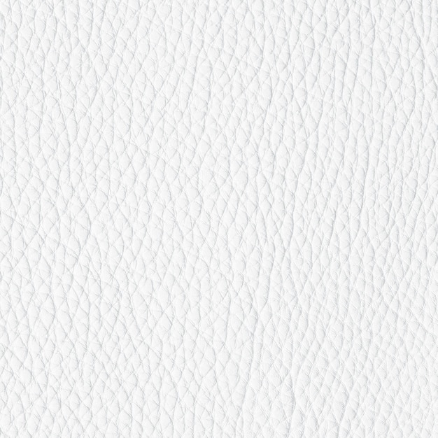 White leather texture background animal skin with natural pattern