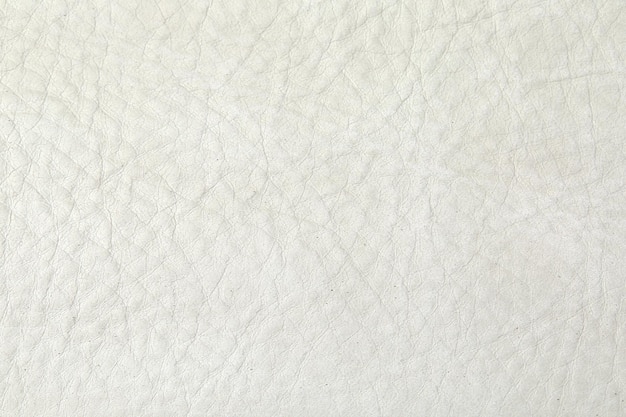 White leather texture luxury background useful as background