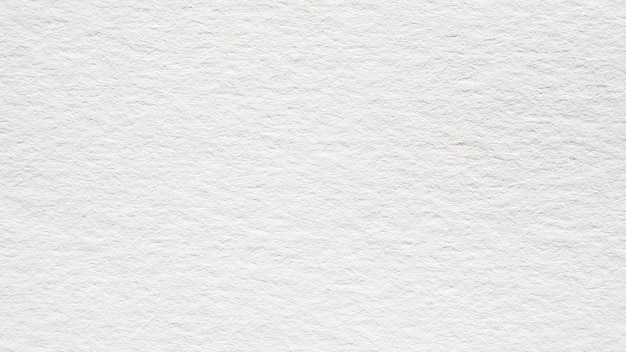 White or light gray paper texture background