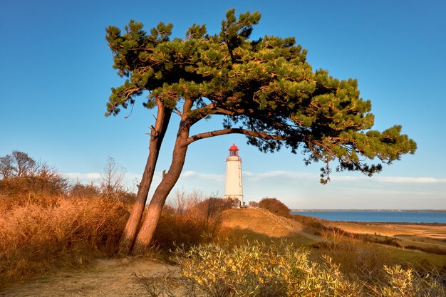 秋の北ドイツのバルト海のヒッデンゼー島の白い灯台ドルンブッシュ