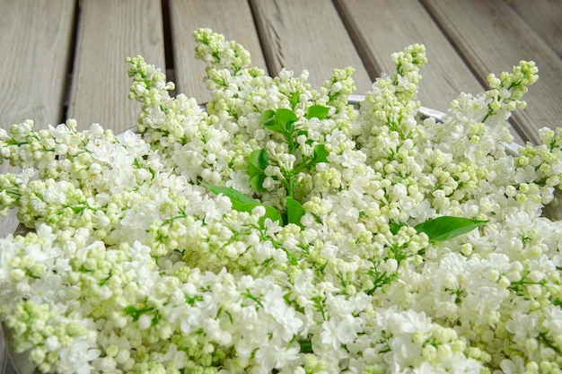 White lilac bowl on a wooden backdrop