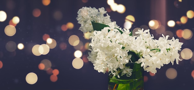 White lilac flowers on dark background. Spring background