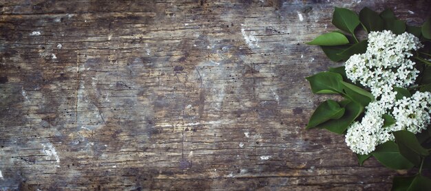 Foto fiori lilla bianchi su fondo di legno bianco.