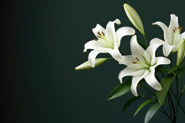 Photo white lilies minimal romantic scene generative ai