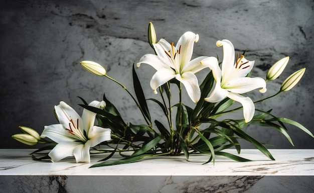 White lily on a concrete surface with green stems