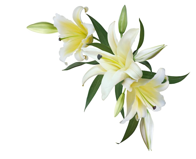 Photo white lily flower bouquet for wedding invitation or greeting card isolated on white background