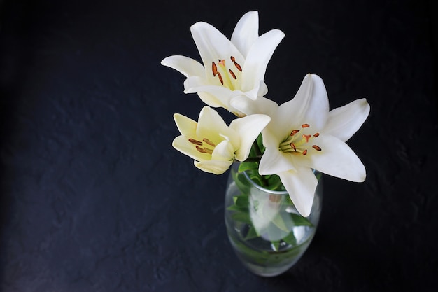 黒い背景に白いユリの花の花束。