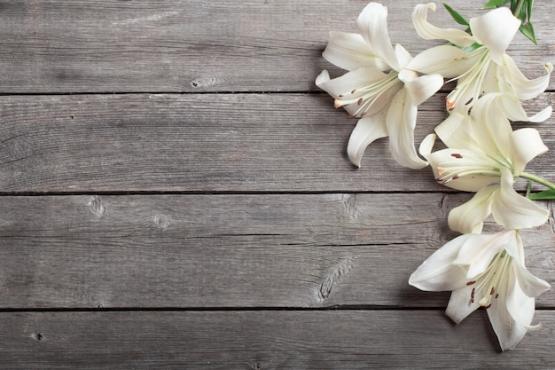 White lily on wooden background