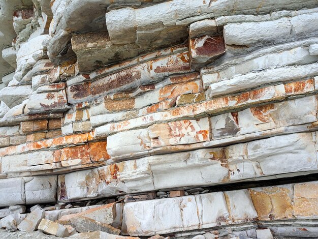 White limestone rocks with brown fossilized imprints