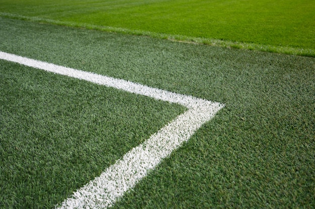 white line on grass