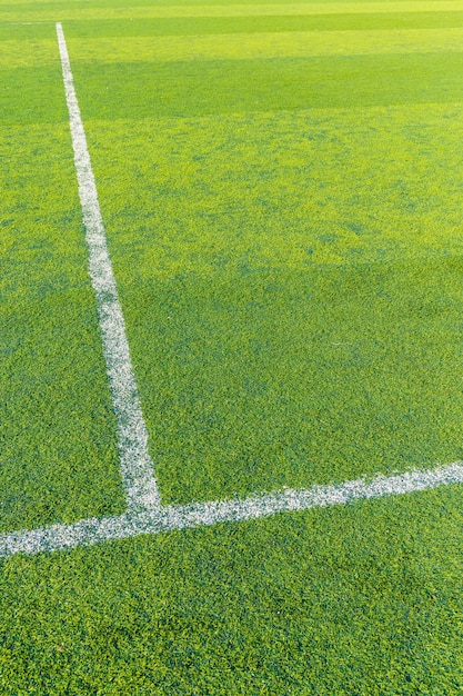 White line on the green turf for football court