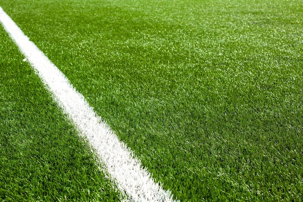 White line on a soccer field grass