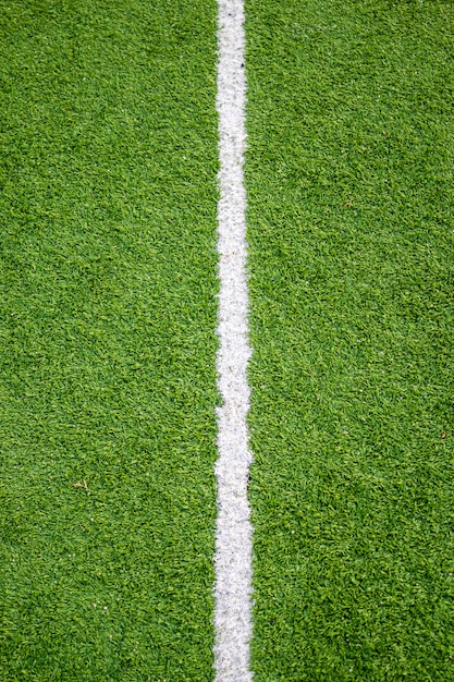 White line on soccer field grass