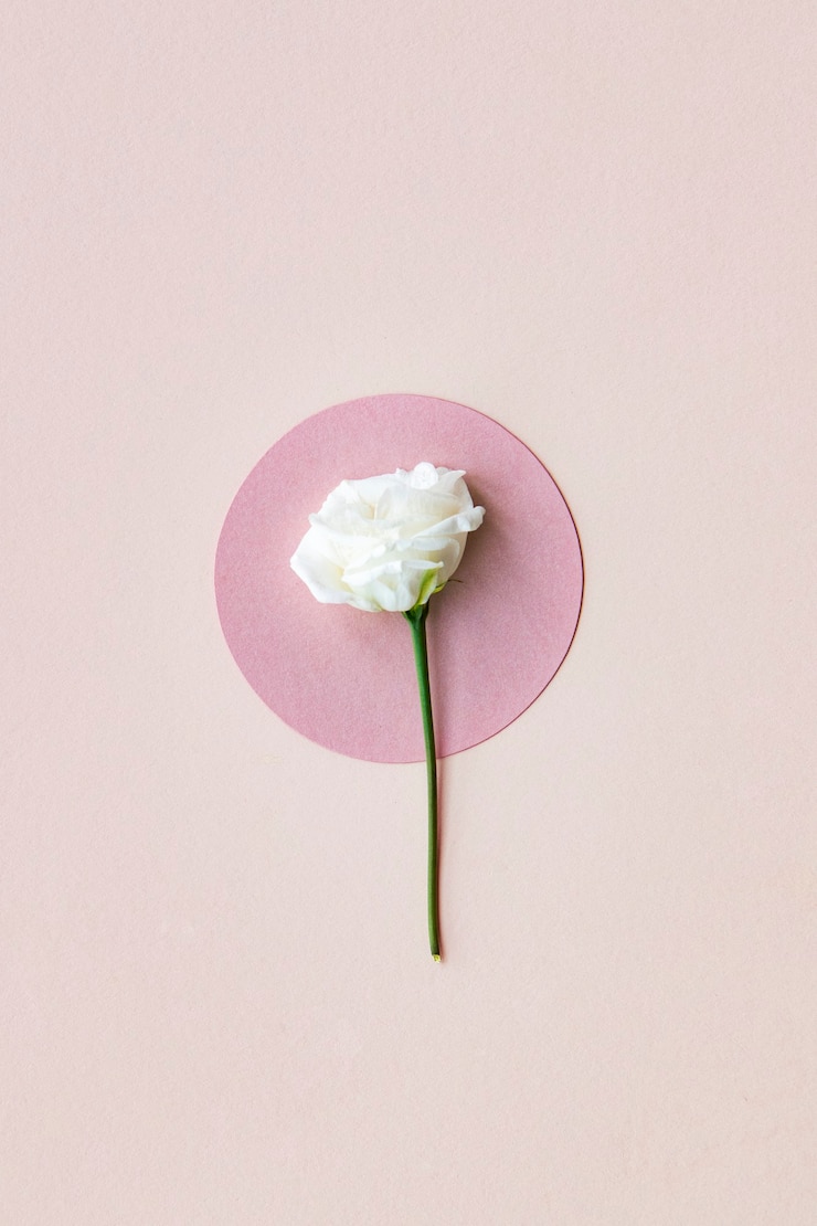 Photo white lisianthus on a light pink background