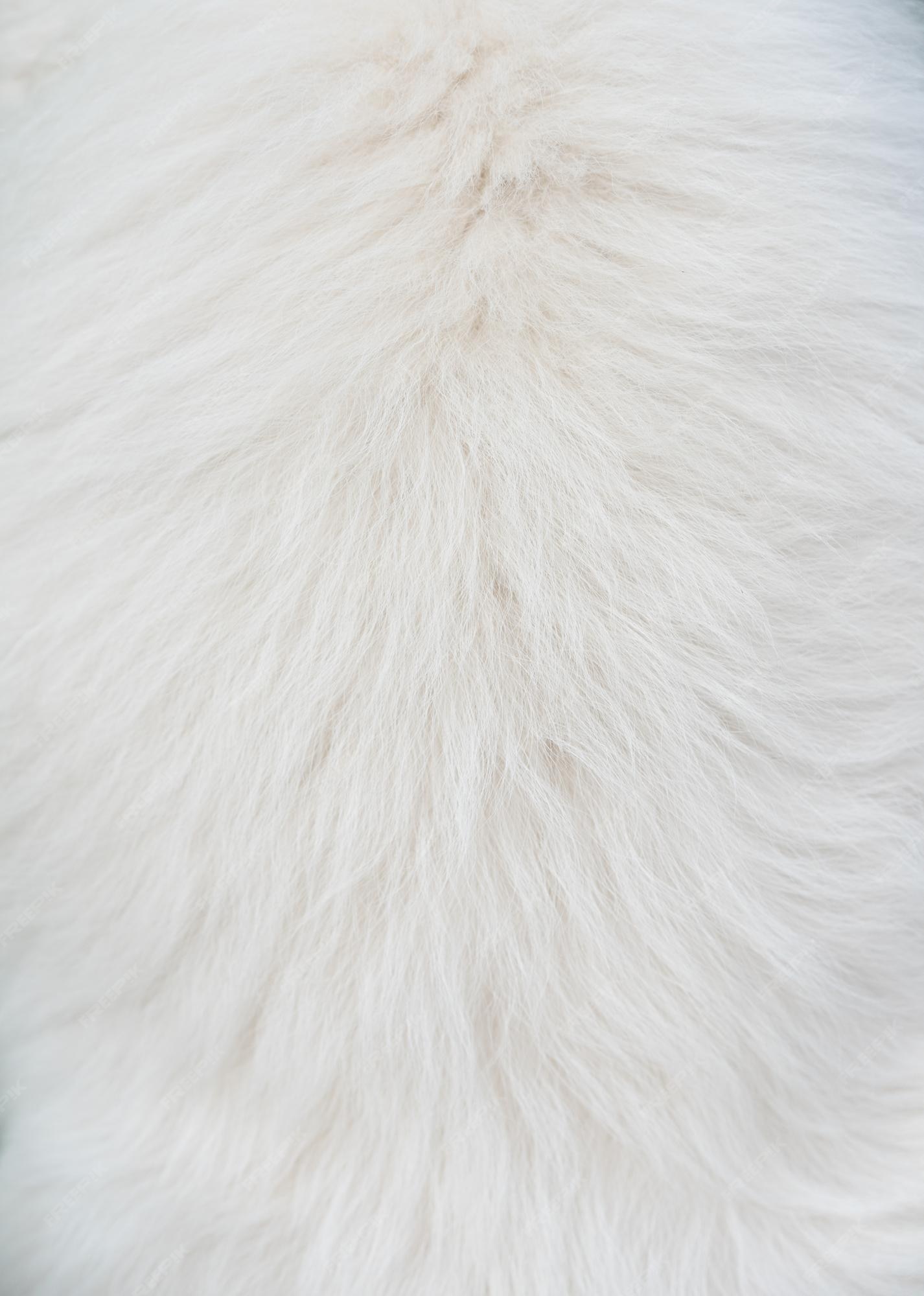 Premium Photo | White long hair fur for background or texture