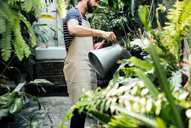 白い男は植物の世話をする