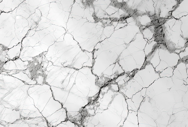 a white marble background